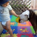 Los niños y las mascotas