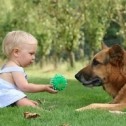 Los bebés pueden entender a los perros