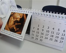 calendario bebé